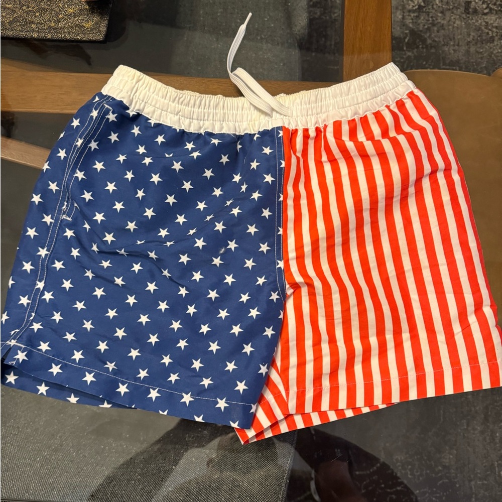 Chubbies 5.5 inch swim trunks